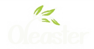 Oleaster